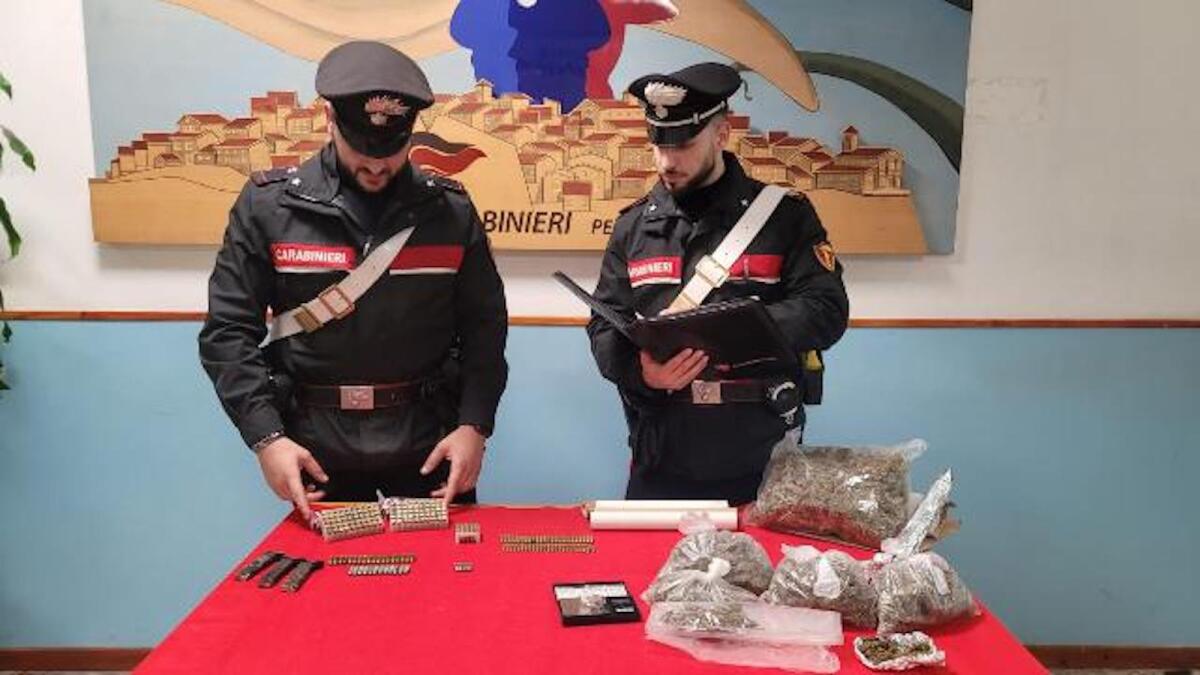Detenzione di sostanze stupefacenti e munizionamento: operazione dei Carabinieri nel crotonese - 