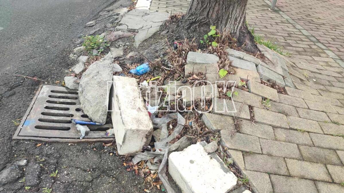 Nei quartieri di Crotone: a Corso Mazzini serve qualche intervento ma anche molta attenzione - 
