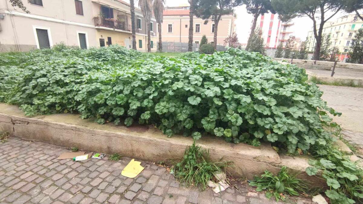 (Foto) Nei quartieri di Crotone: c’era una volta la villetta dei ricordi… - 