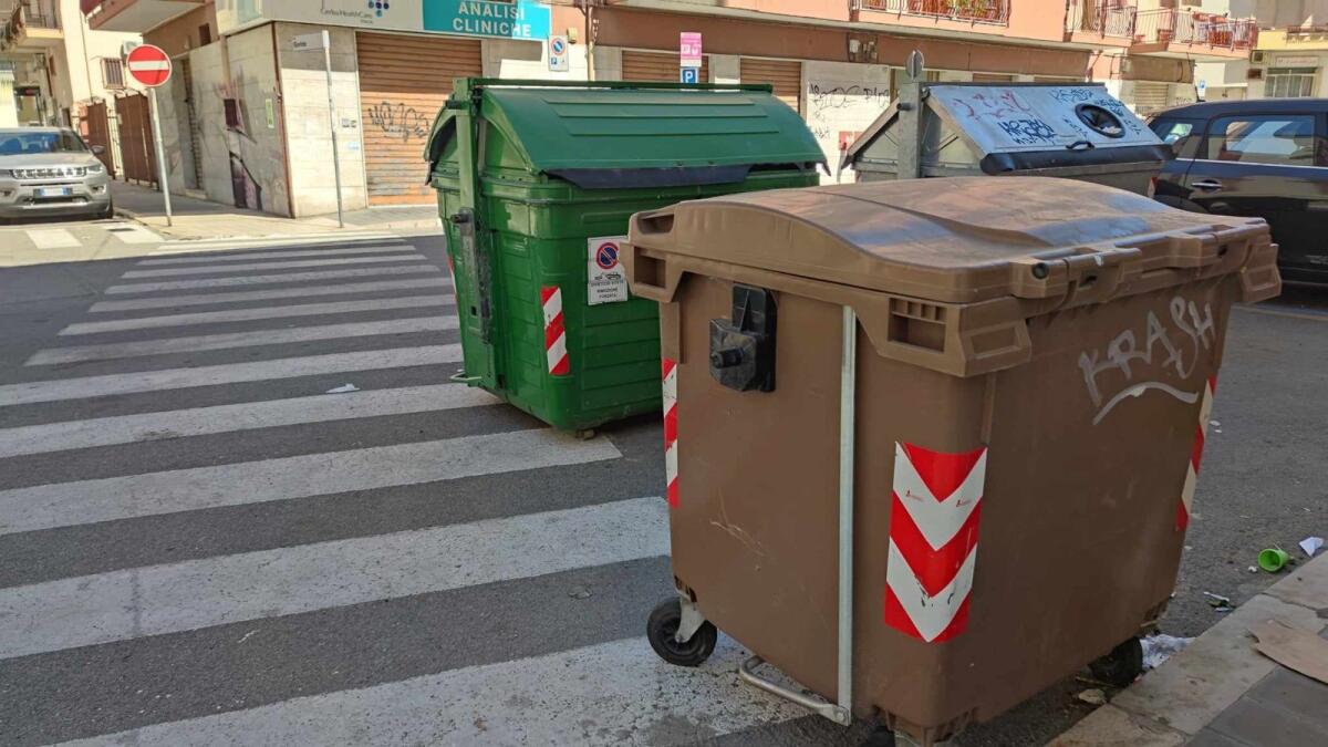 Nei quartieri di Crotone: in via Roma anche i cassonetti attraversano sulle strisce pedonali - 