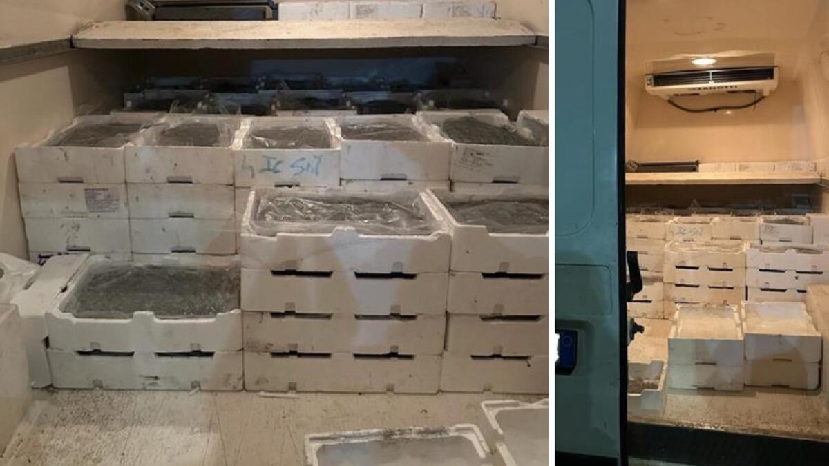 Pesca di frodo nel Cosentino, sequestrati oltre 800 chili di novellame di sarda - 