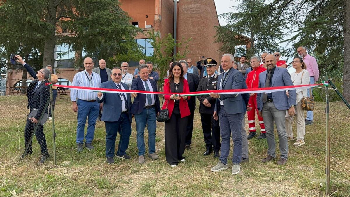 Inaugurata la prima tartufaia del Crea Foreste e Legno sui terreni della Provincia di Cosenza - 