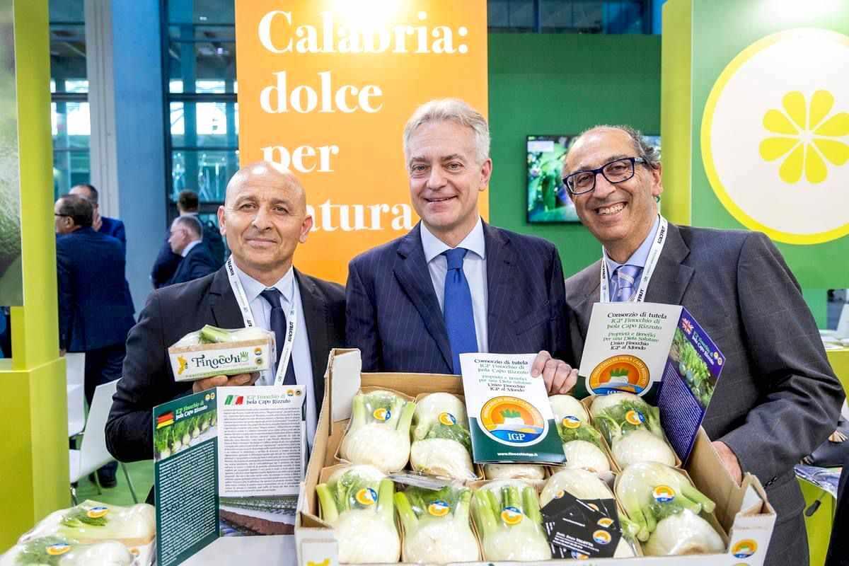 Il finocchio Igp di Isola conquista Canada e Scandinavia - 