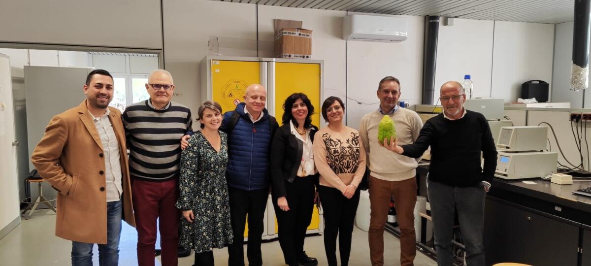 Il Consorzio del Cedro di Calabria investe nella ricerca e nell'innovazione con il progetto CedroTrack - 