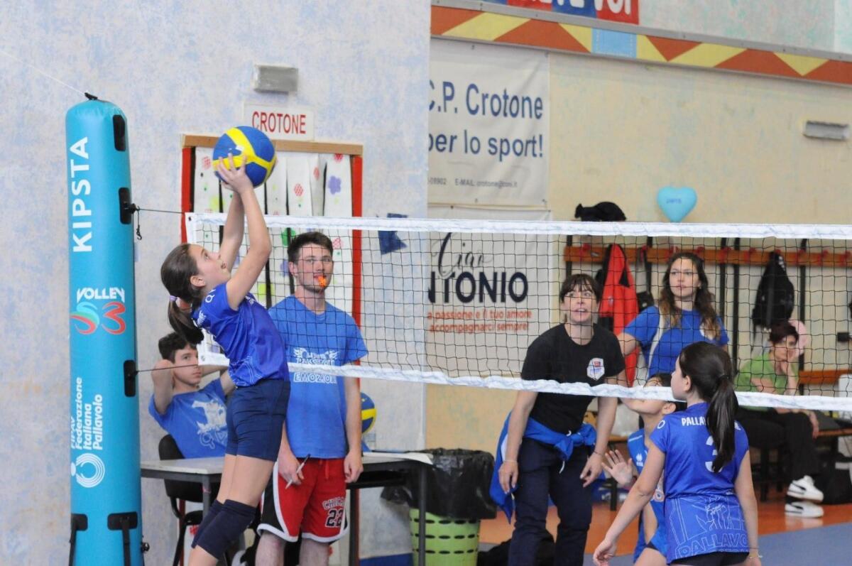 Finale territoriale S3: la Pallavolo Crotone porta a casa due trofei - 