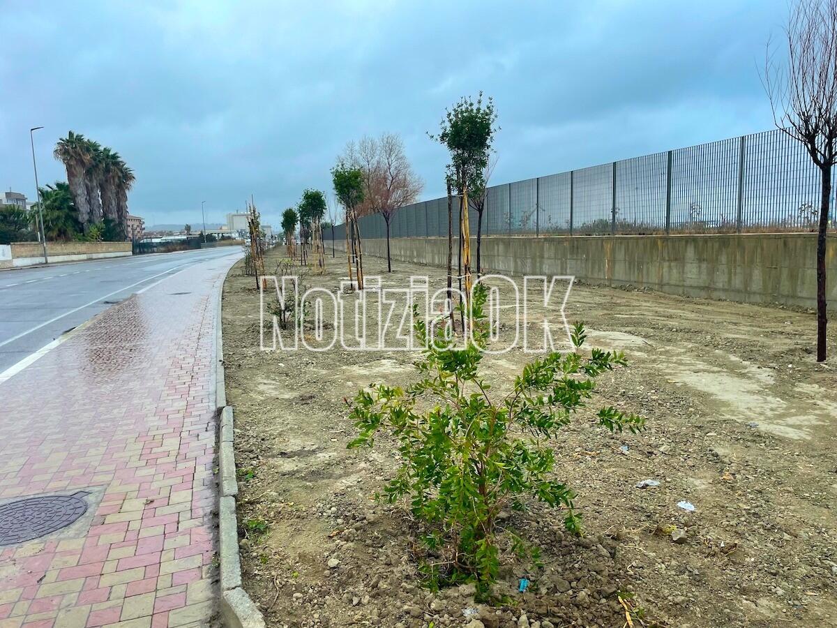 Crotone - La strage dei gatti: dilaniati e uccisi, l'Enpa prepara l'esposto - 
