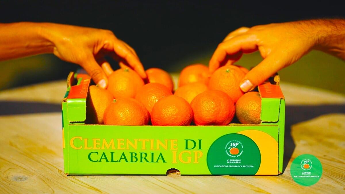 Clementine di Calabria IGP: un passo in avanti per la qualità e la sostenibilità - 