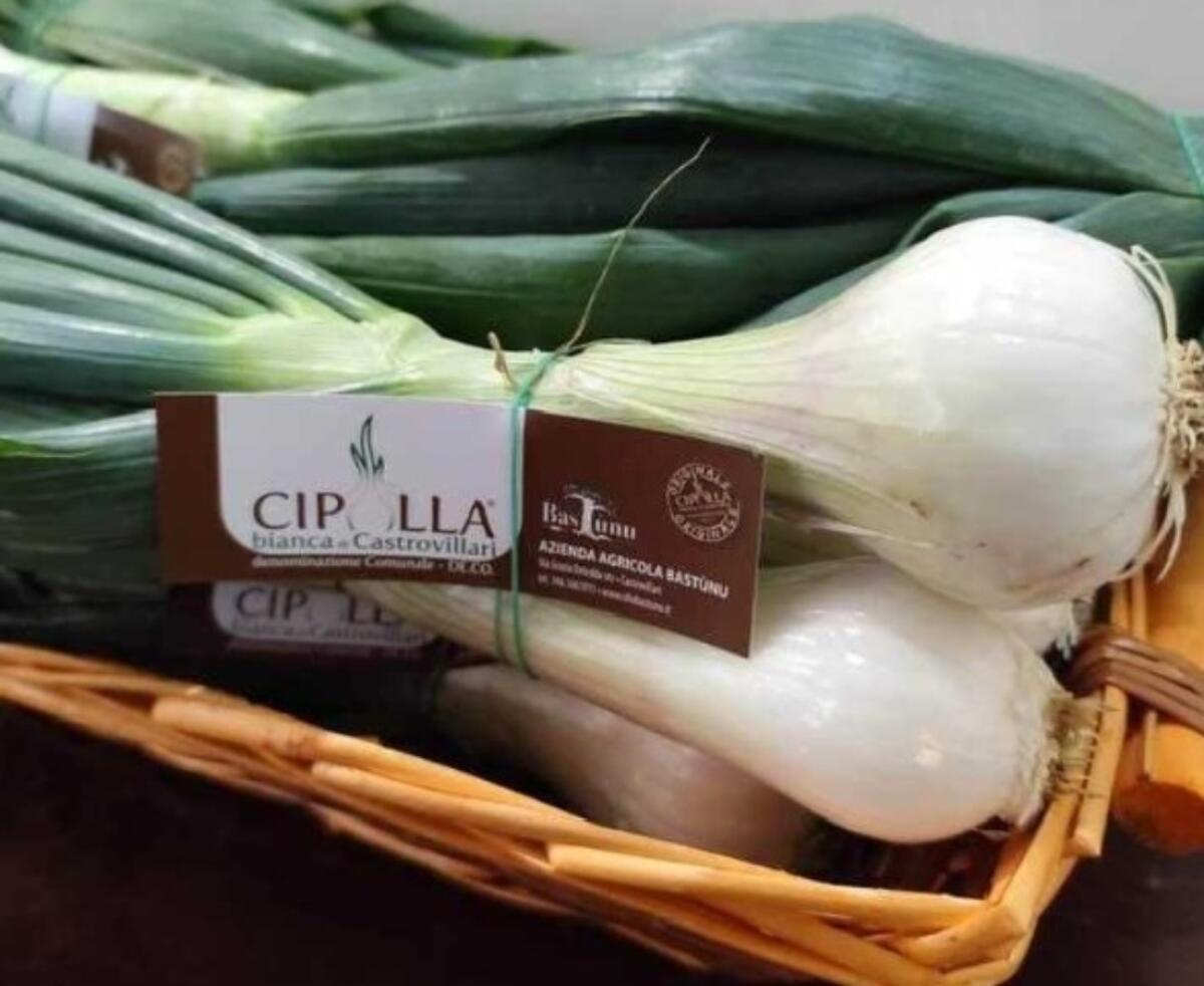 Campagna Amica Calabria alla riscoperta della Cipolla bianca di Castrovillari - 