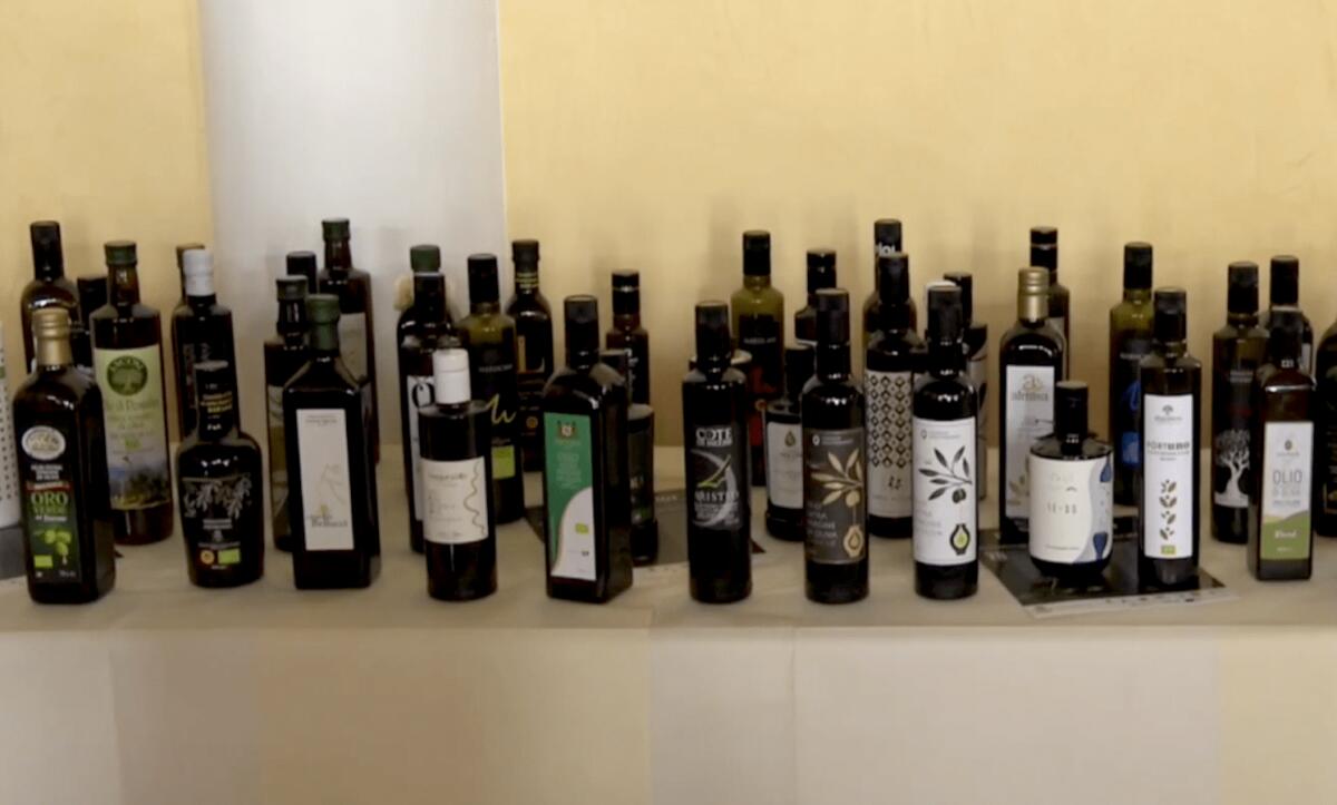Cotronei - Successo per il Premio Verga, ecco l'elenco dei vincitori - 