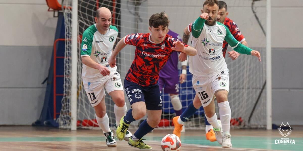 Calcio a 5 - Alessio Adornato con la maglia del Cosenza per un altro anno - 