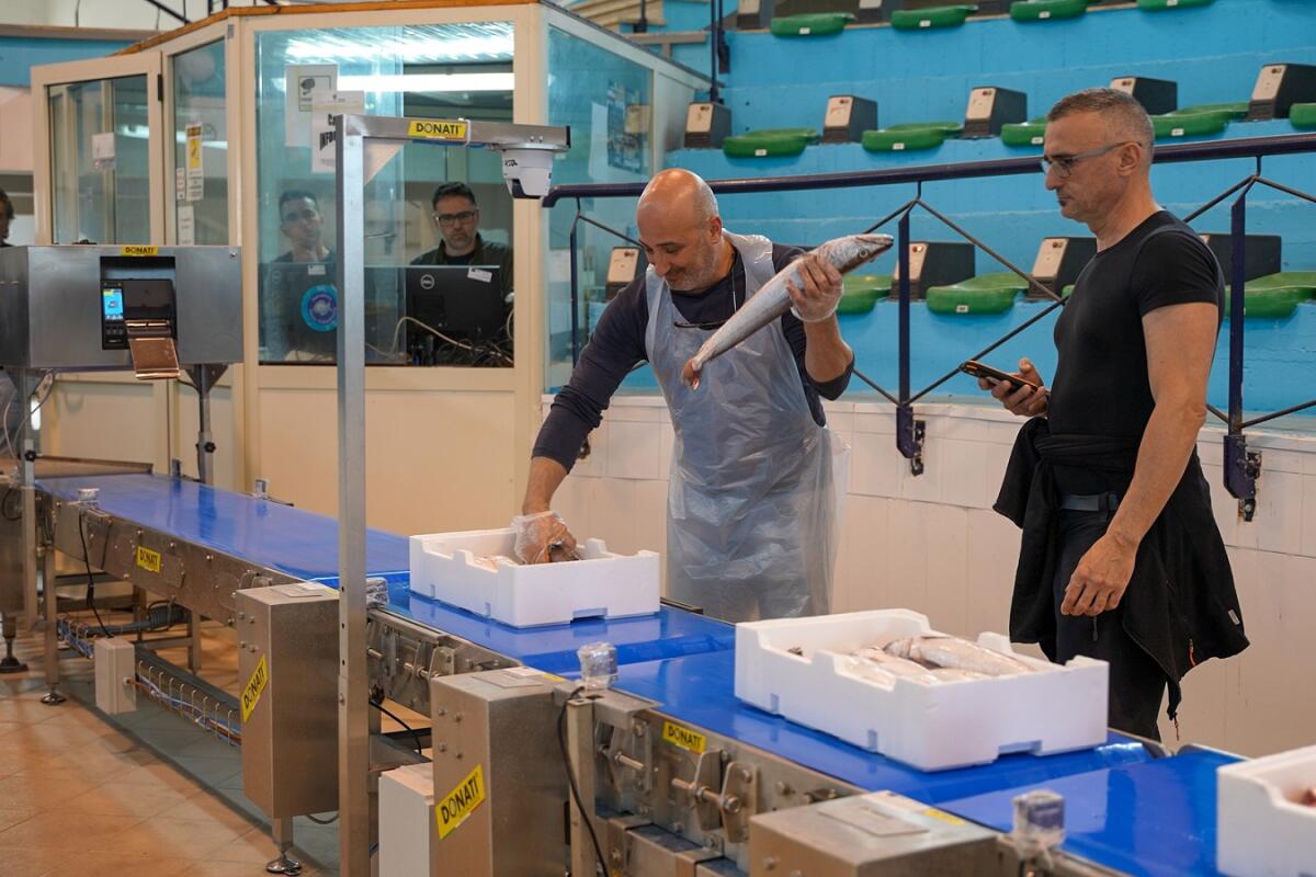 Corigliano-Rossano: Al mercato ittico la prima asta in modalità elettronica - 