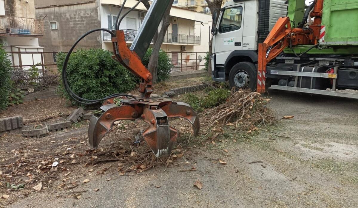 Crotone - Intervento in Via Corradino Amatruda: Marisa Cavallo ringrazia Akrea  - 