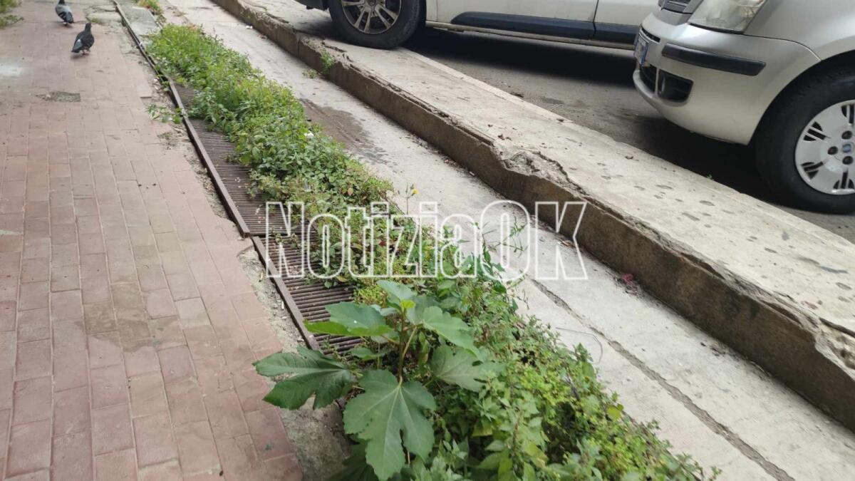 Nei quartieri di Crotone: decoro e sicurezza, c'è qualcosa da rivedere - 