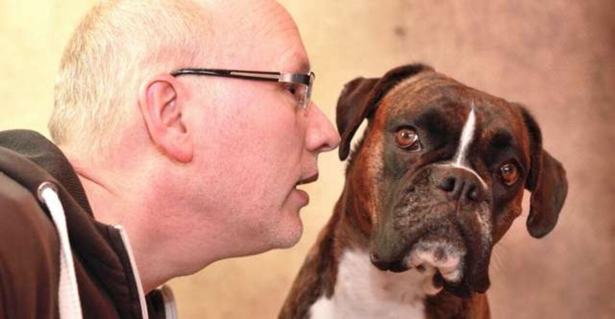 Vita da Cani: gli amici a quattro zampe possono comprendere il significato di diverse parole - 