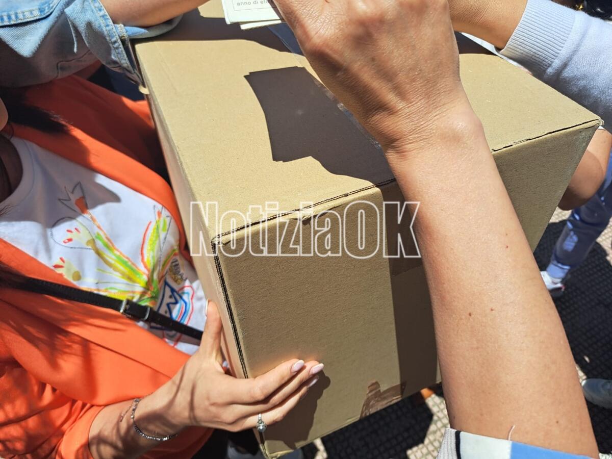 Crotone - Continua la protesta Abramo: consegnate le tessere elettorali - 