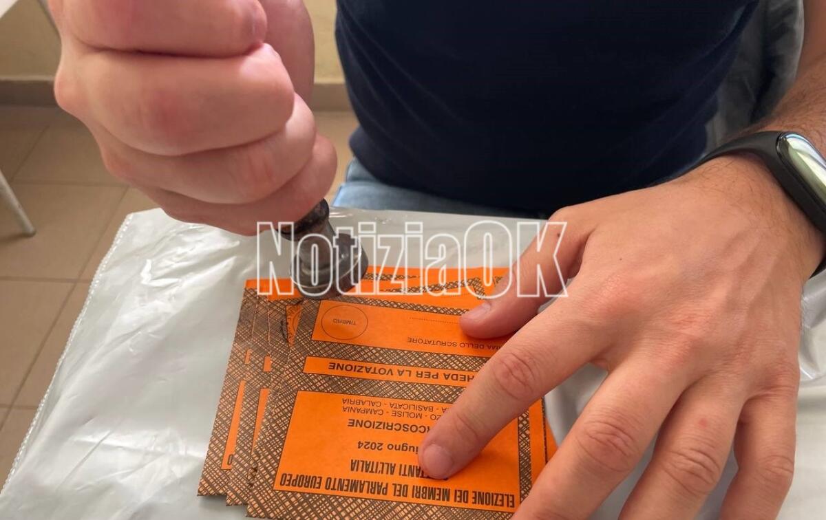 Elezioni Europee 2024 - Poker di eletti in Calabria, ecco chi sono - 