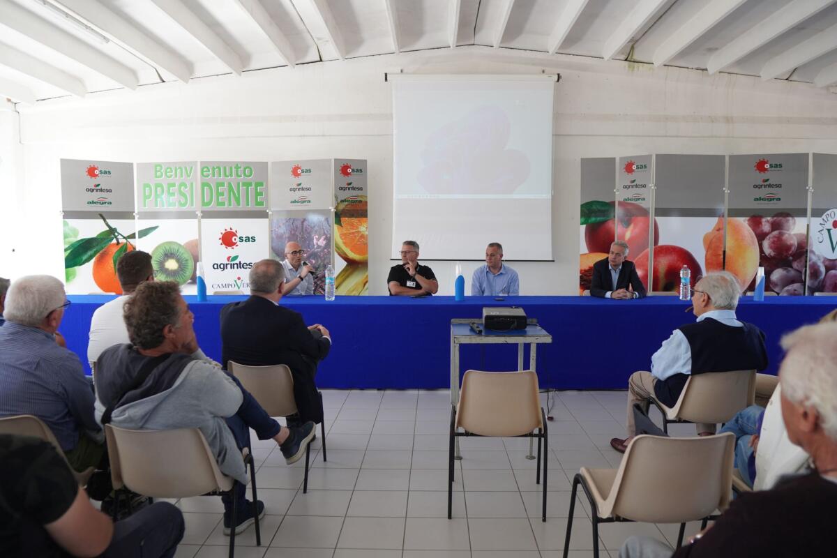 Castrovillari: arriva Agrintesa, colosso cooperativo in cui si fonde OSAS -