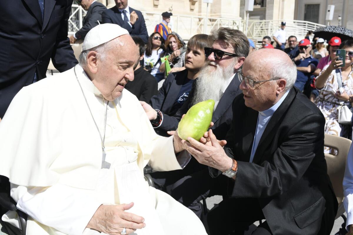 Il profumo del Cedro di Calabria donato a Papa Francesco - 