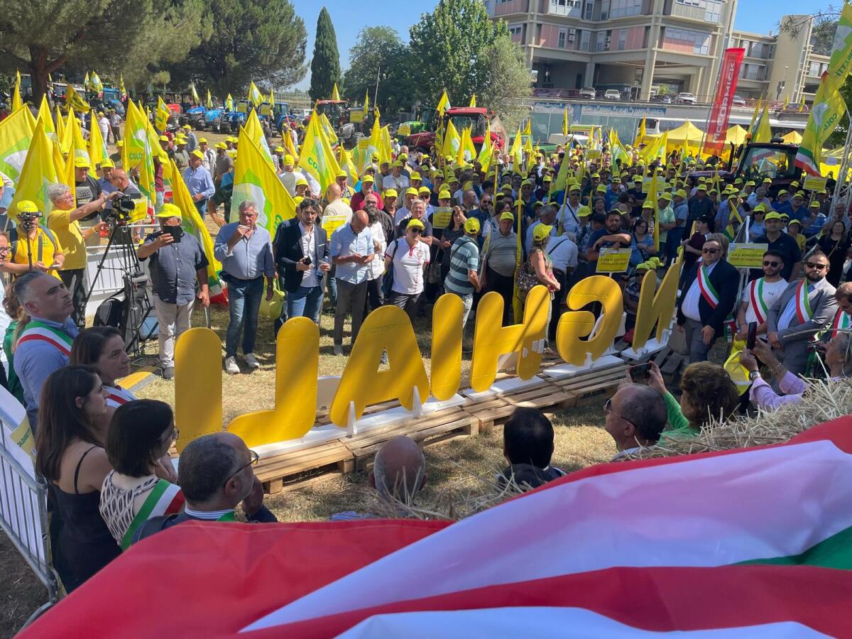 Mobilitazione Coldiretti Calabria “Basta cinghiali”: i trattori hanno attraversato Cosenza - 