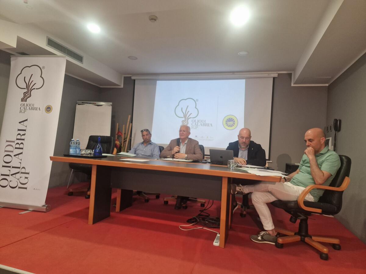 Olio di Calabria IGP: la promozione passa dalle scuole e dai territori - 