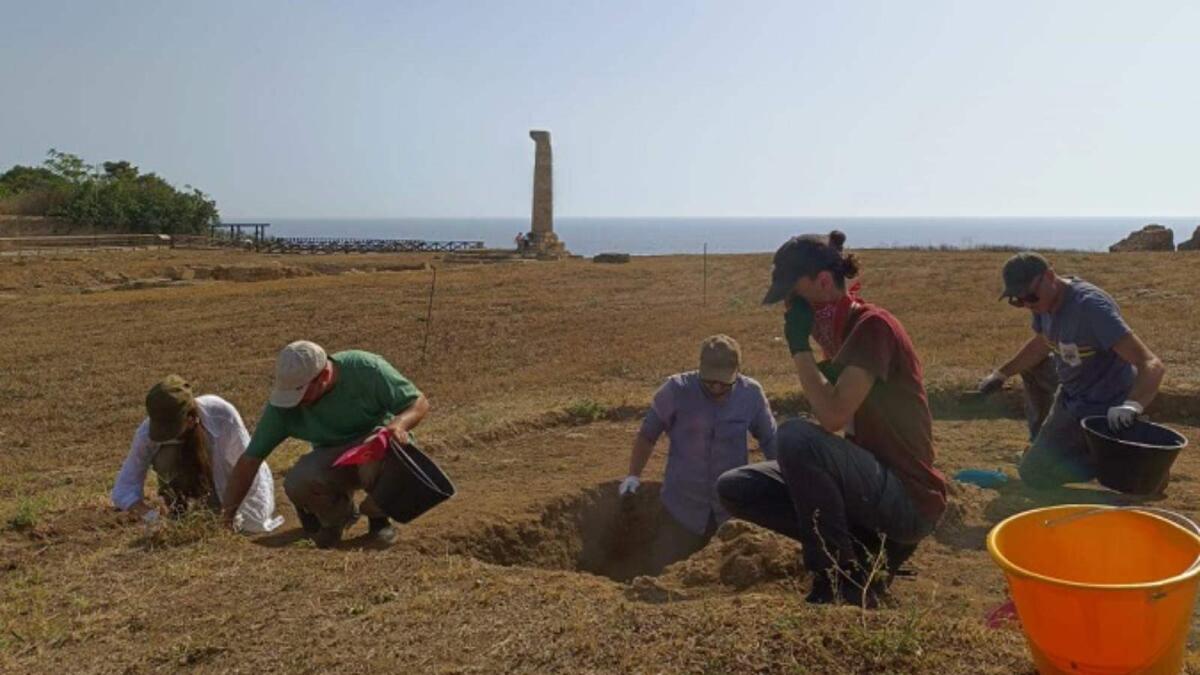 Crotone - Il ritrovamento di una testa di leone inaugura la nuova campagna di scavi - 