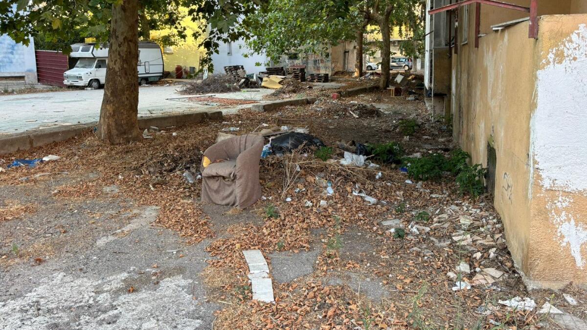 Crotone - Pagliaroli (Noi Moderati): «Via Achille Grandi, un inferno verde da bonificare» - 