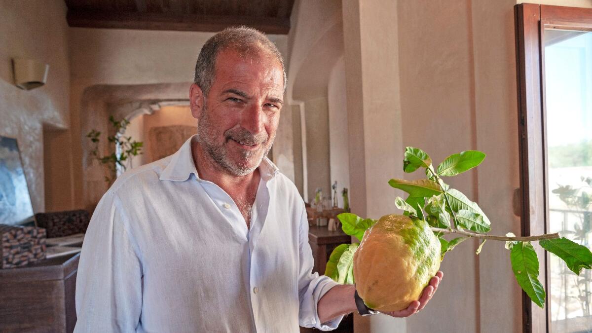 Santa Maria del Cedro – Si lavora per il Cedro Festival 2024 - 