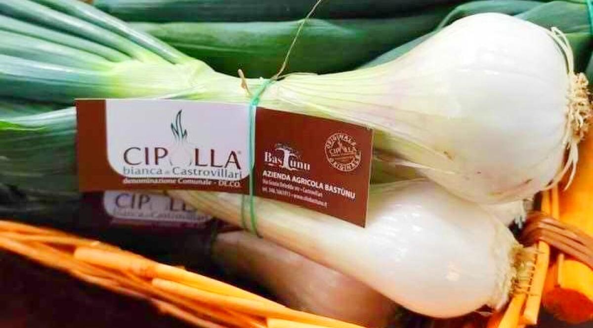 A Castrovillari la terza edizione del Festival della Cipolla Bianca - 