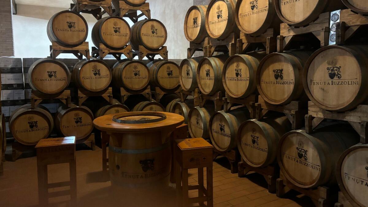 Il Wine Tour alla Tenuta Iuzzolini esperienza indimenticabile tra storia, tradizione e sapori autentici - 