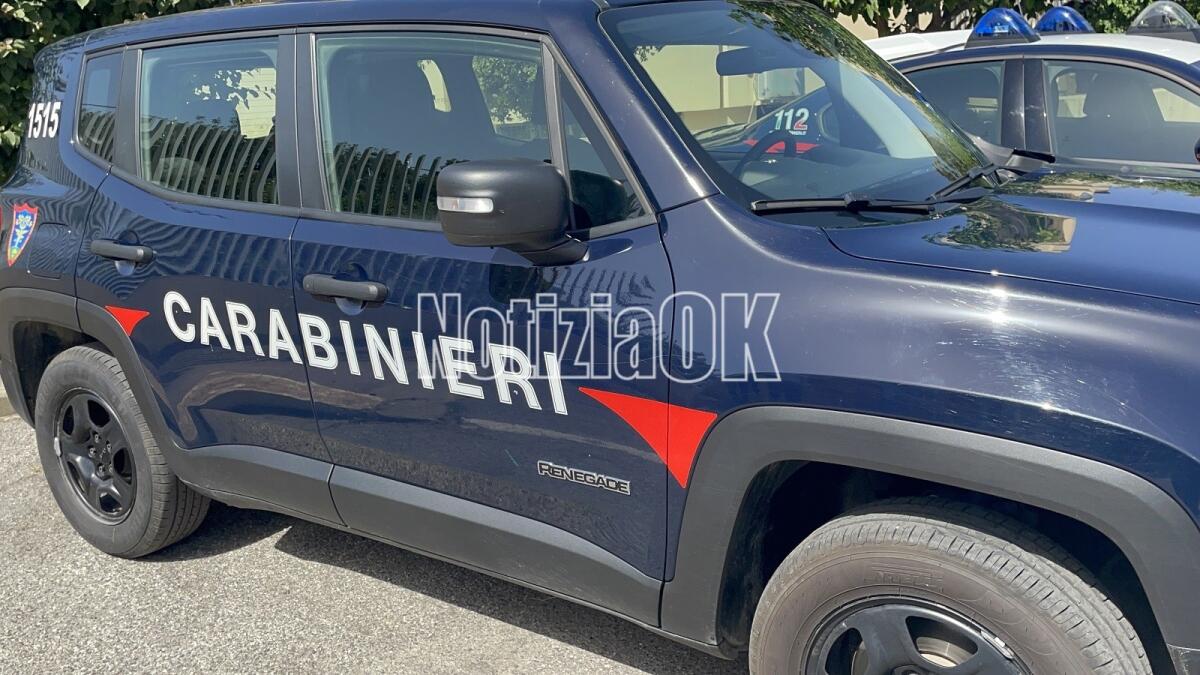 Operazione a Cosenza: 49 arresti per spaccio di droga e delitti contro persone - 
