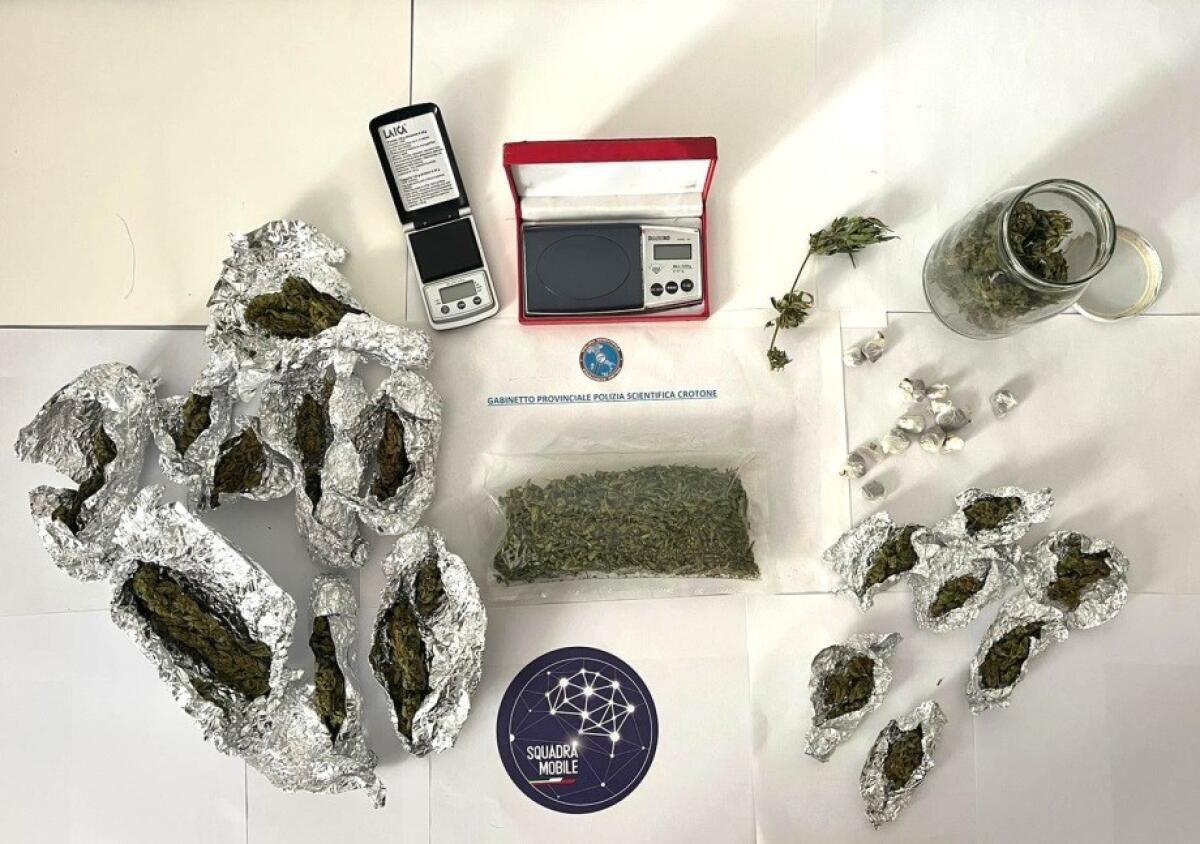 Crotone - Sequestrata droga a Papanice - 