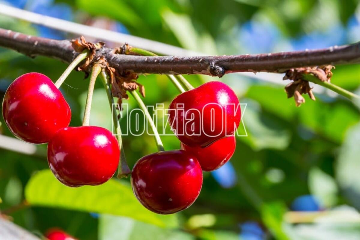 Lifestyle - Dalla natura una tintarella perfetta - 