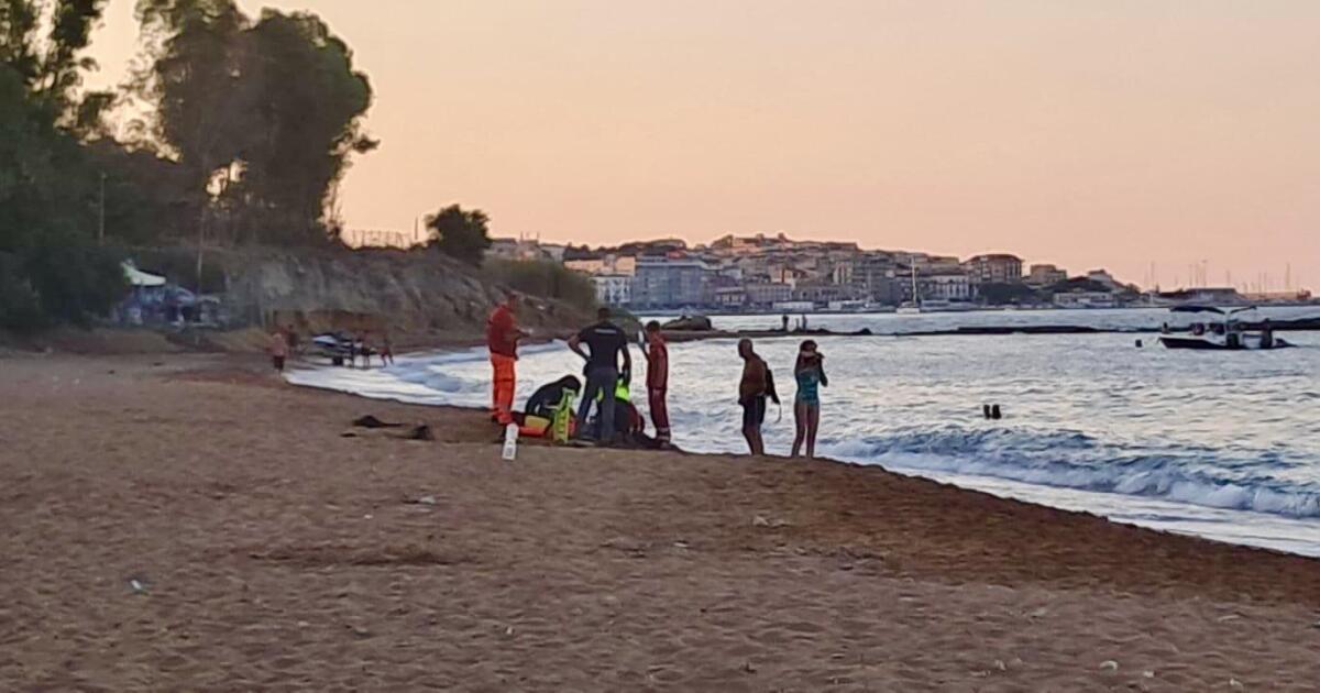 Assalito dalle vespe, non è morto per le punture: i Carabinieri fanno chiarezza - 