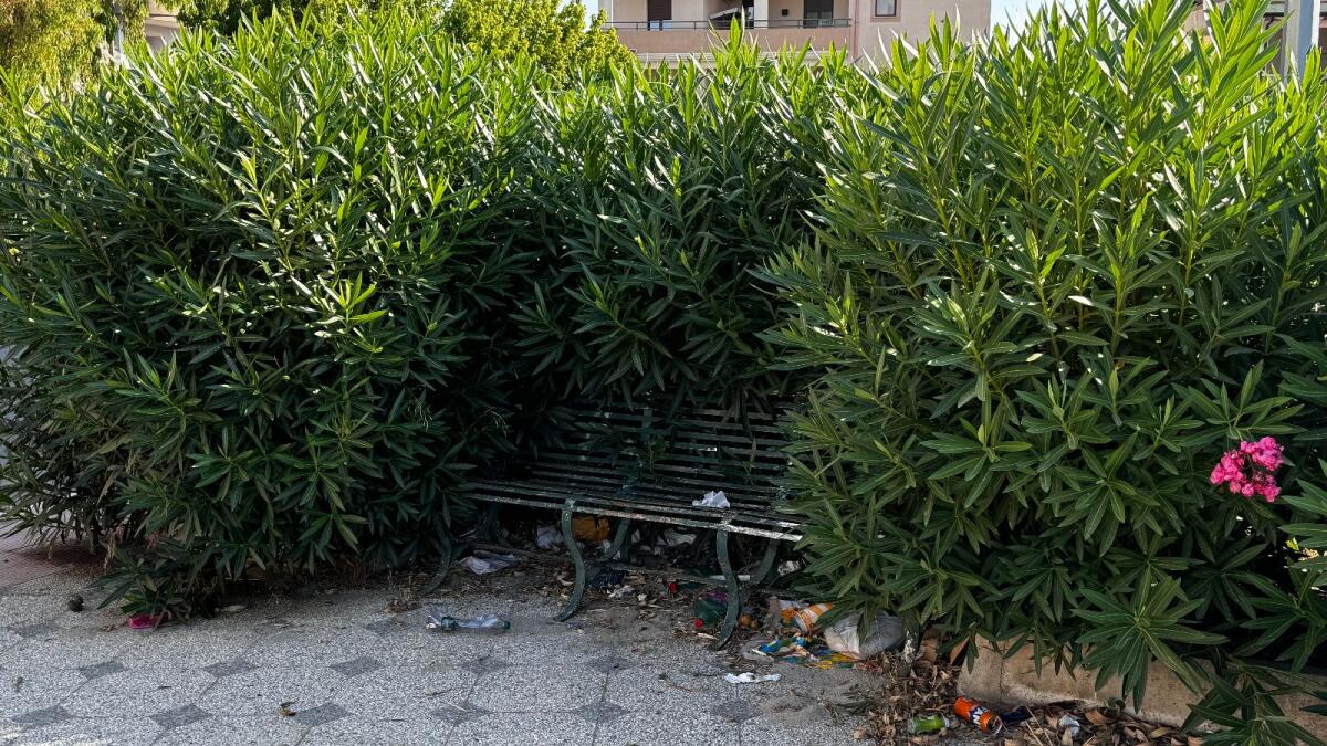 Crotone - Piazza Martiri delle Foibe immersa nel verde (Foto Gallery) - 