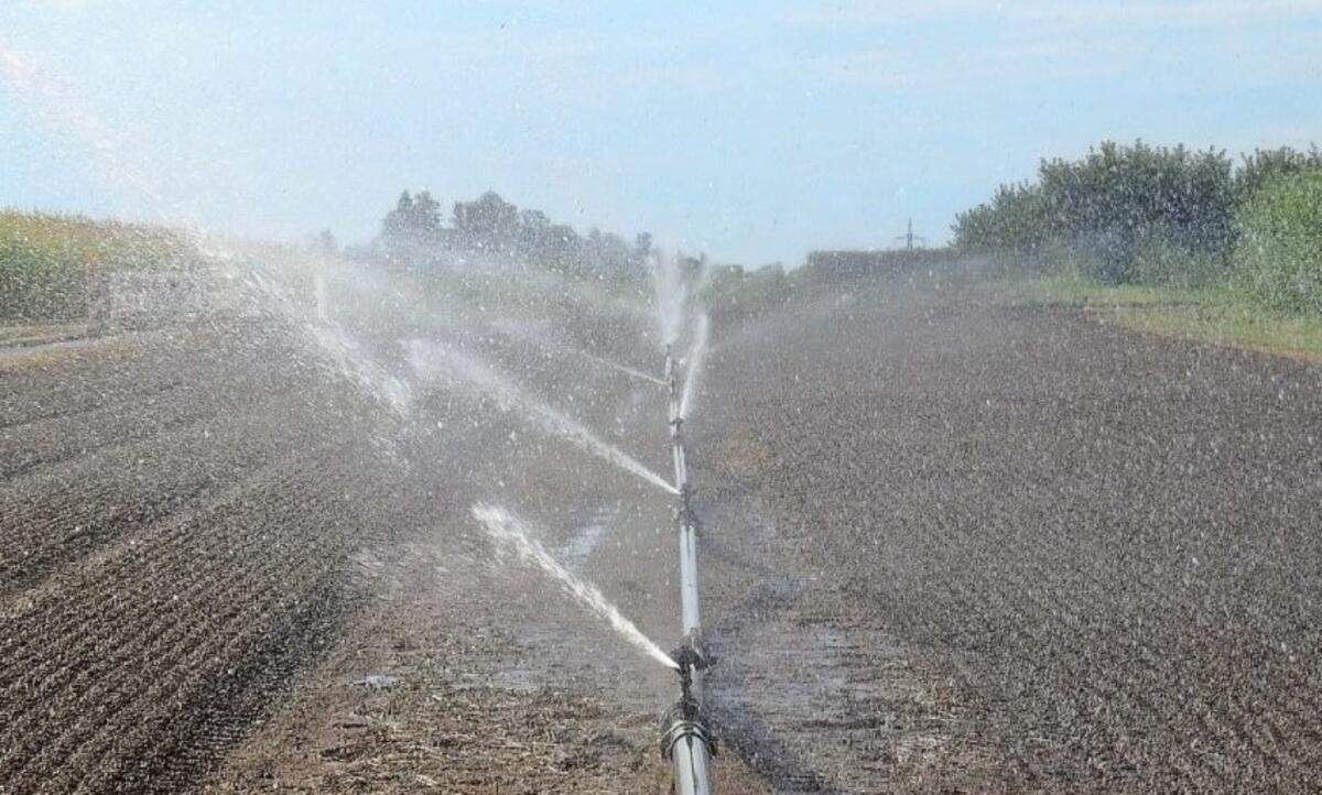 Furto d'acqua pubblica per irrigari i campi della propria azienda agricola: denunciato - 
