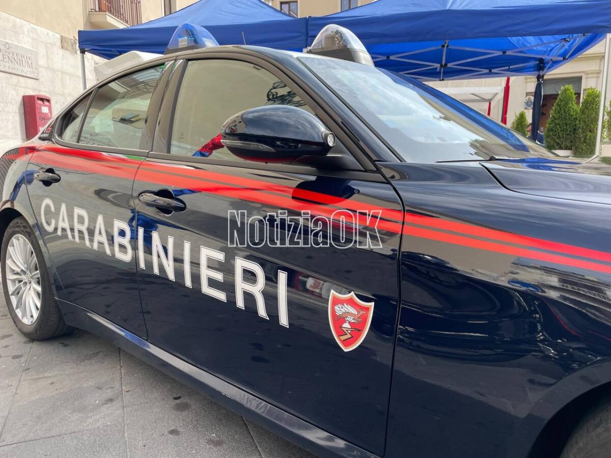 "Apri, siamo i Carabinieri", e lo accoltellano - 
