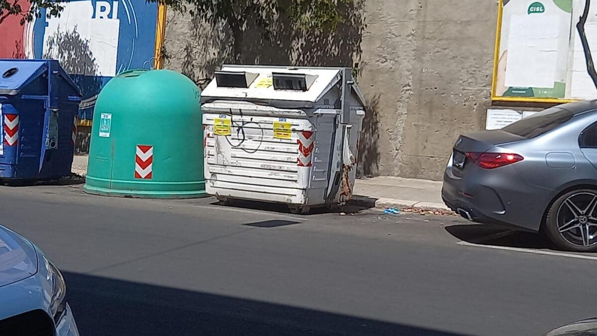 Crotone - Macabro ritrovamento su Corso Messina: gatto appeso ad un bidone - 