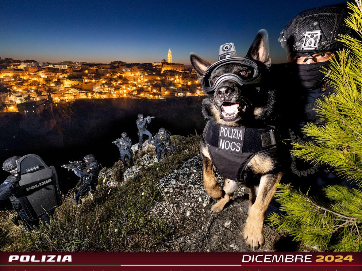 La Polizia impegnata con attività di controllo in tutta la provincia di Cosenza - 