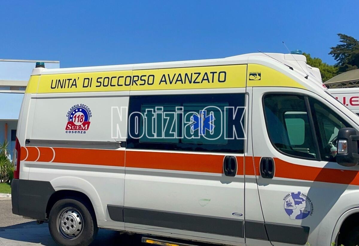 Puntura di vespa, shock anafilattico: morto sulla spiaggia di Crotone - 
