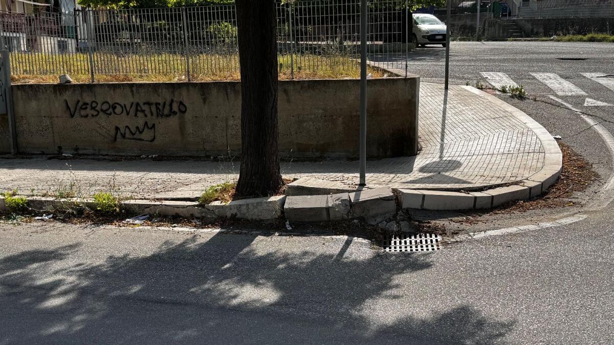 Crotone - Albero che vai, marciapiede rotto che trovi... - 