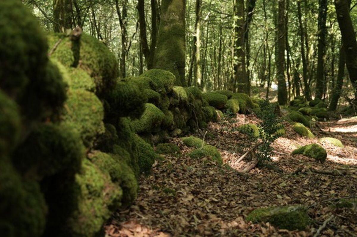 Aspromonte, nuovi ritrovamenti lungo antiche mura romane - 