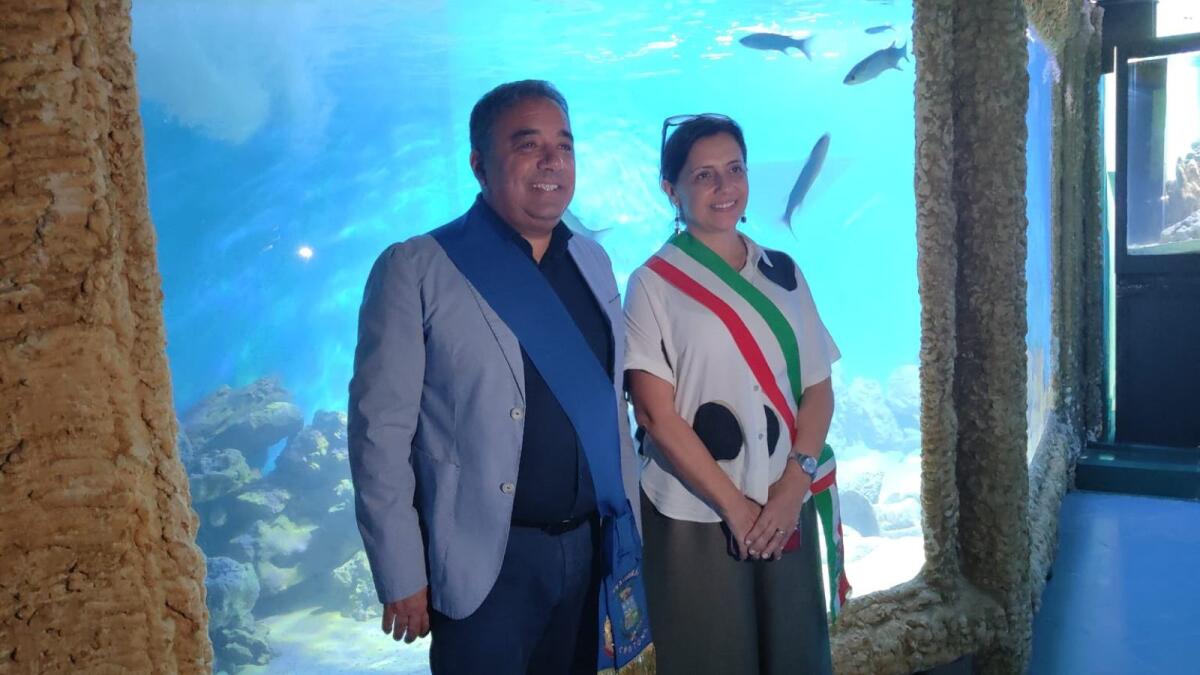 Capo Rizzuto, riapre l’Aquarium: ospitate due tartarughe dell'Area Marina Protetta - 
