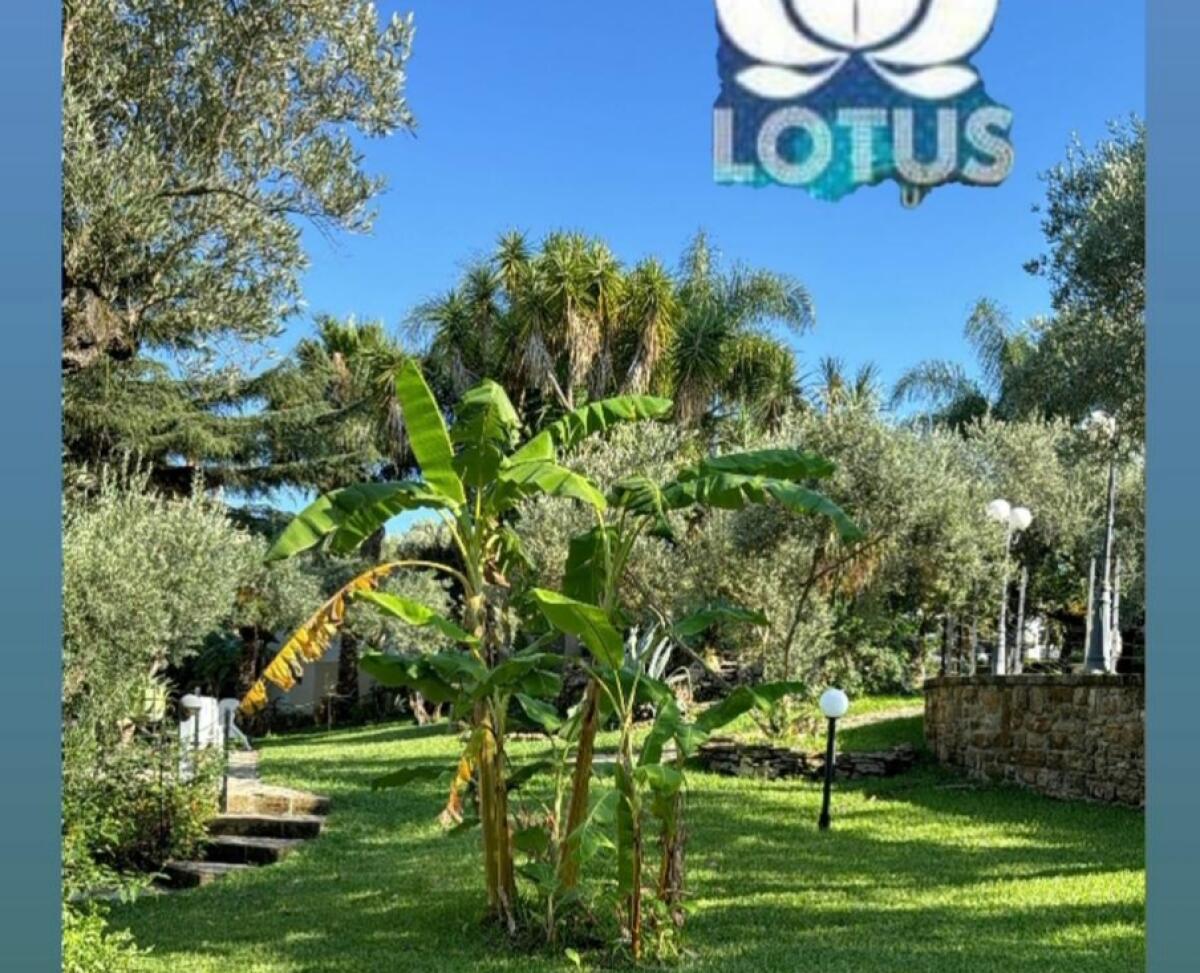 Si torna a ballare al Lotus, due serate con Quelli della notte - Oplus_0