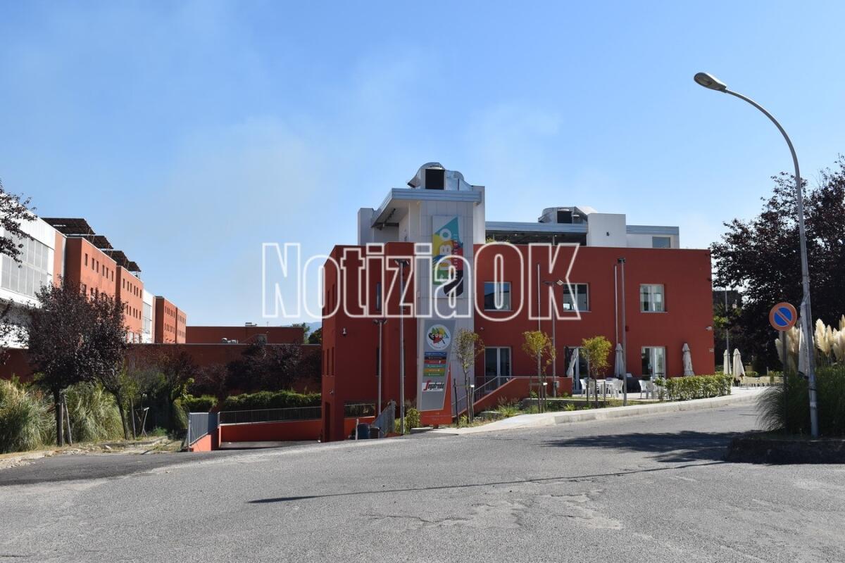All'Unical pronto a partire il nuovo corso di laurea in Ingegneria biomedica - 
