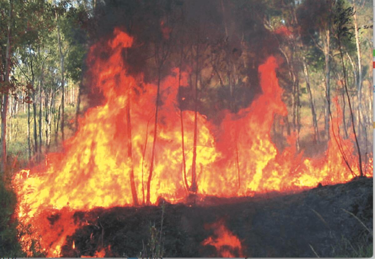 Mandatoriccio - Prevenzione incendi e dissesto idrogeologico: in campo le squadre di Calabria Verde - 