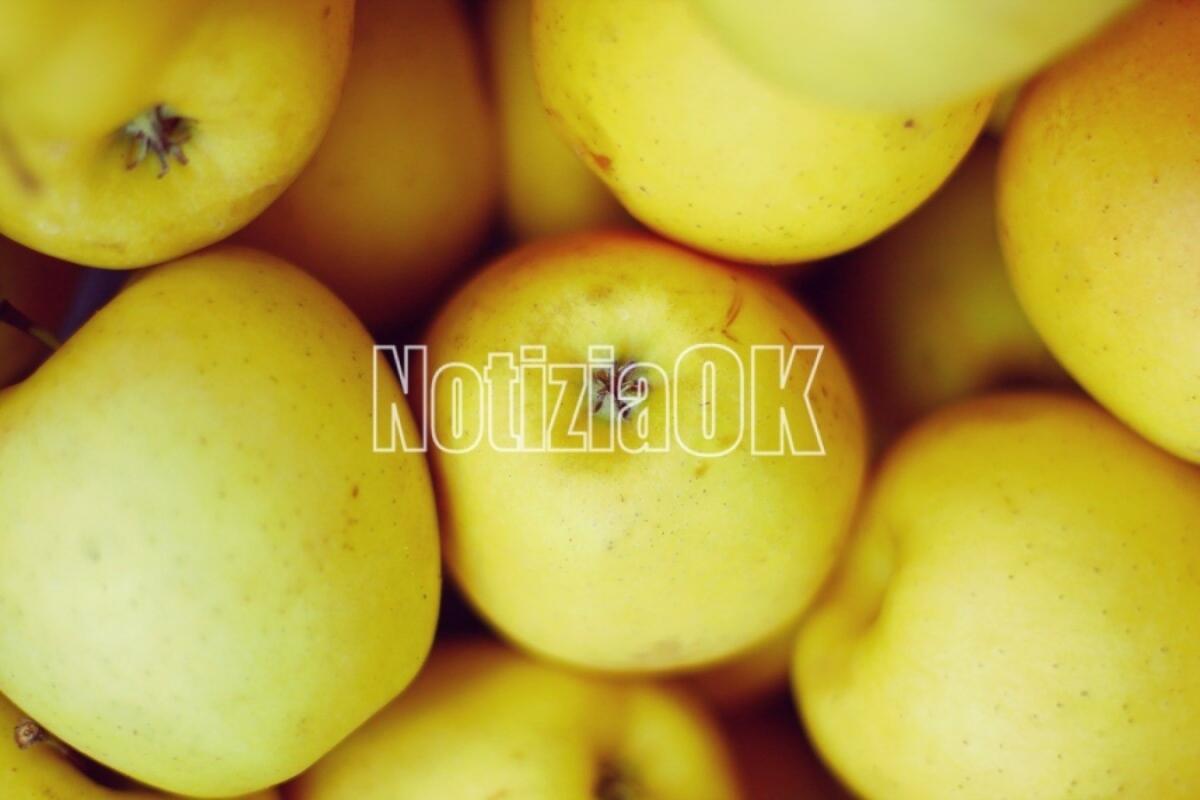 Lifestyle - Inizia la "vendemmia" delle mele - 