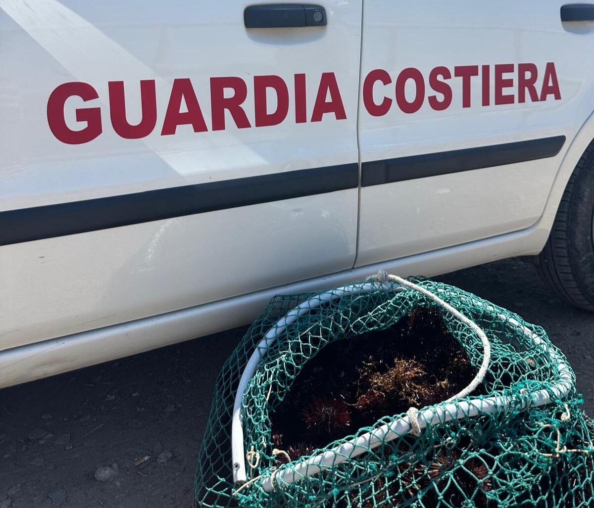 Pesca illecita di ricci e nell'Area Marina Protetta, sanzionati pescatori sportivi - Oplus_0