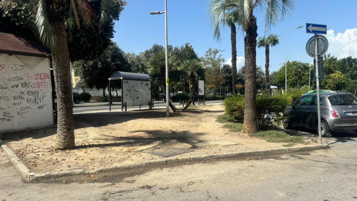 Crotone - La dove c’era l’erba ora c’è… - 