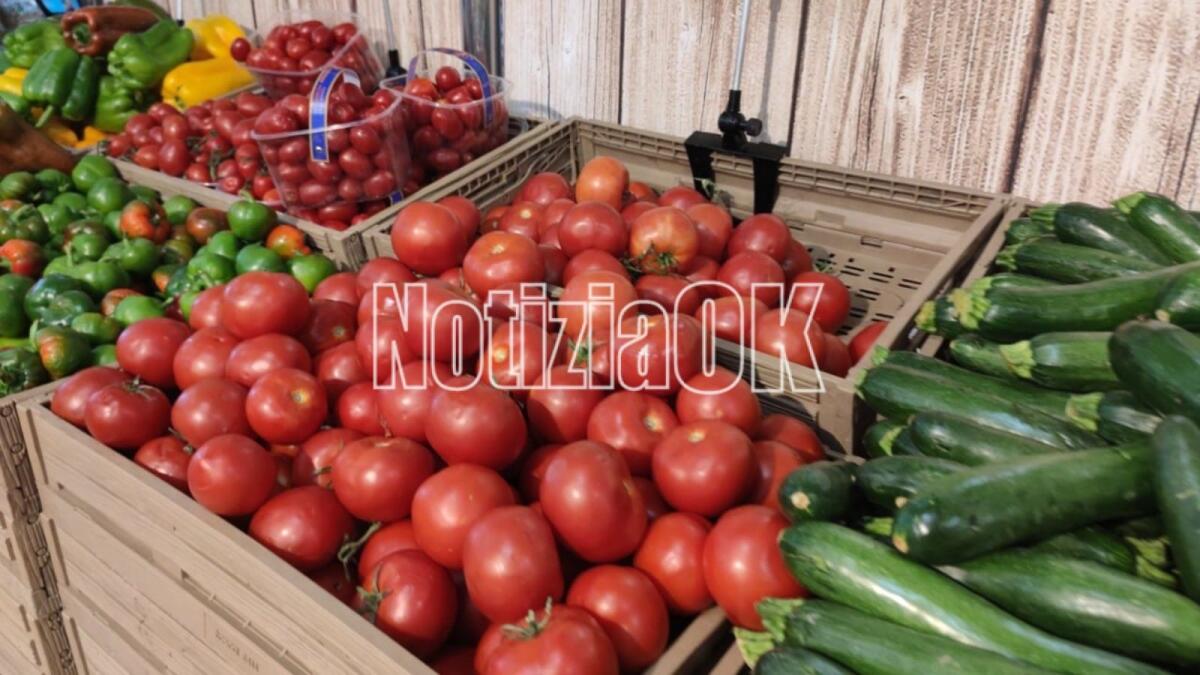 Crotone - Tutela ambientale ed educazione alimentare, concluso il progetto A tutto GAS -