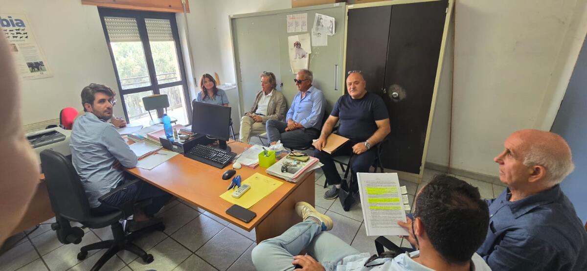 Corigliano-Rossano - Emergenza randagismo, necessaria la realizzazione di un nuovo canile - 